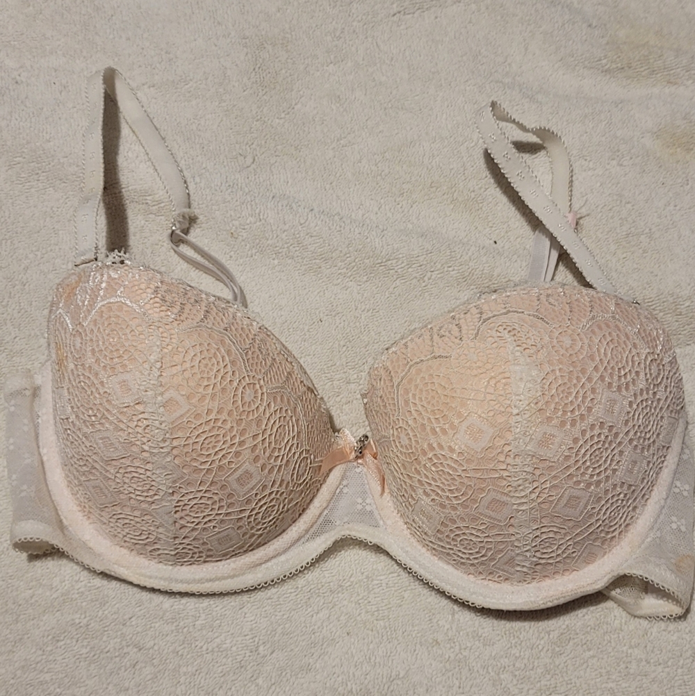 Daisy Fuentes Bra